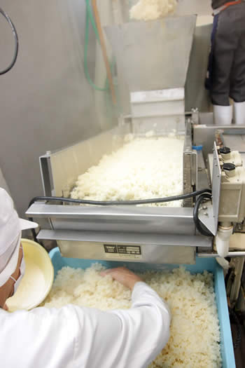 麹菌をつける種切、白味噌（西京味噌）の作り方、手順