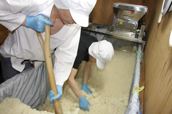 米麹の床もみ、白味噌（西京味噌）の作り方、手順